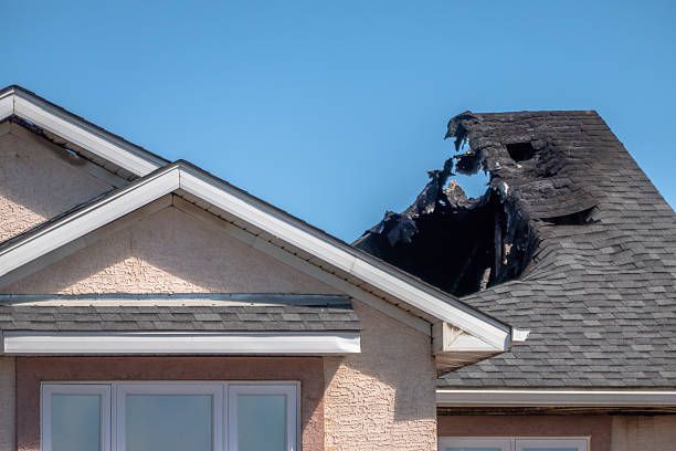 Top rated local Board Up Services specialists in Somerset, TX